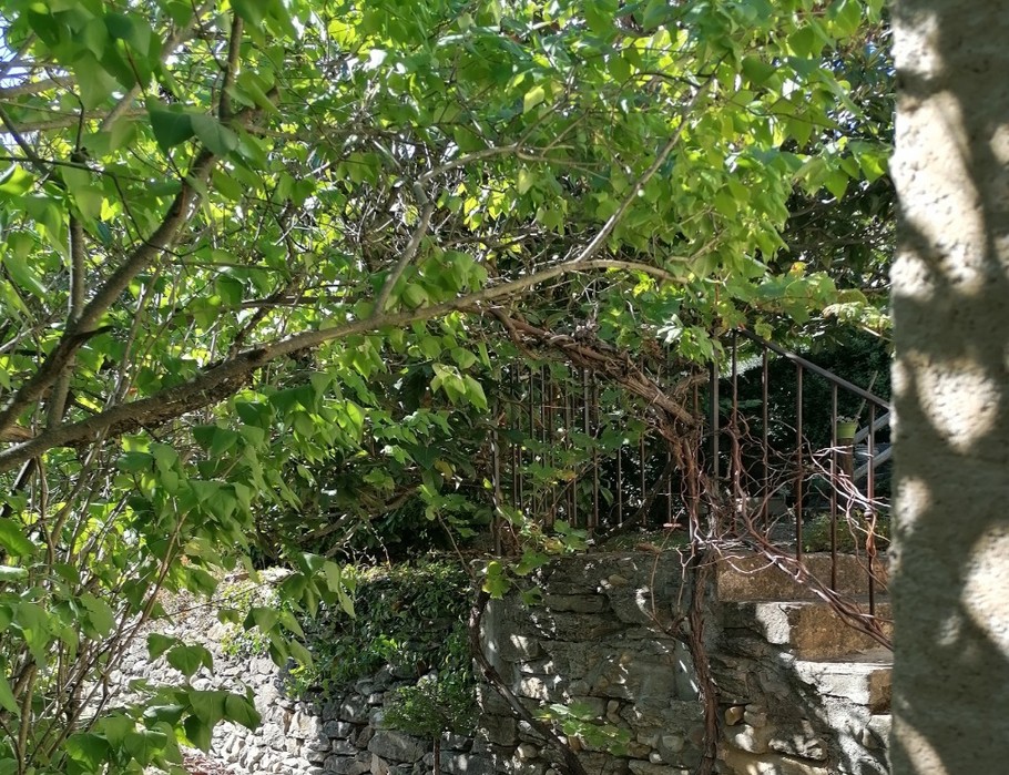 Photo n° 12 of the location