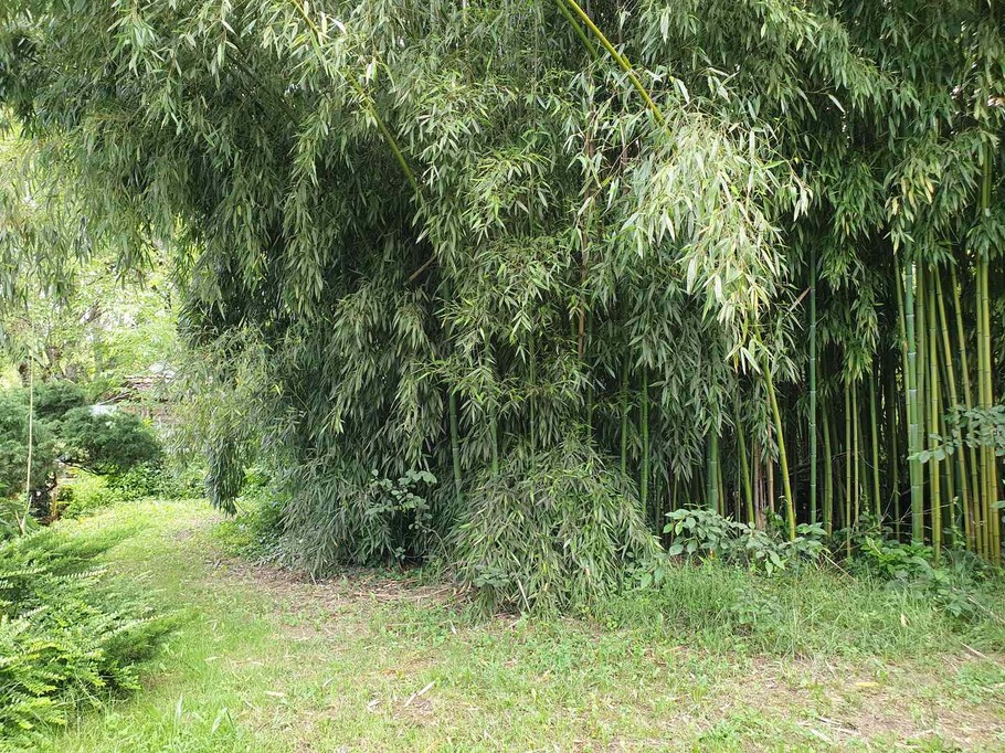 Photo n° 12 of the location