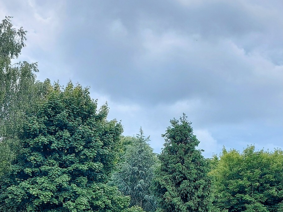 Photo n° 17 of the location