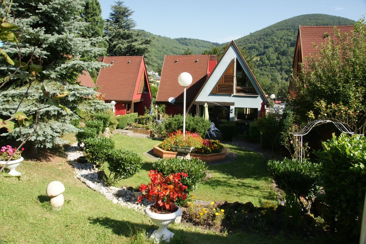 Le jardin en été