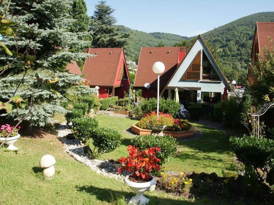 Le jardin en été