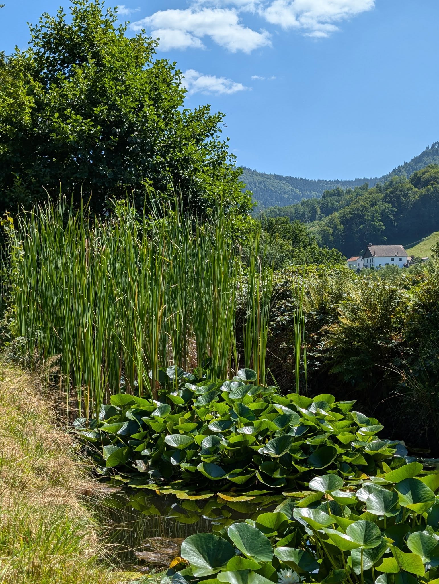 Photo n° 16 de la location