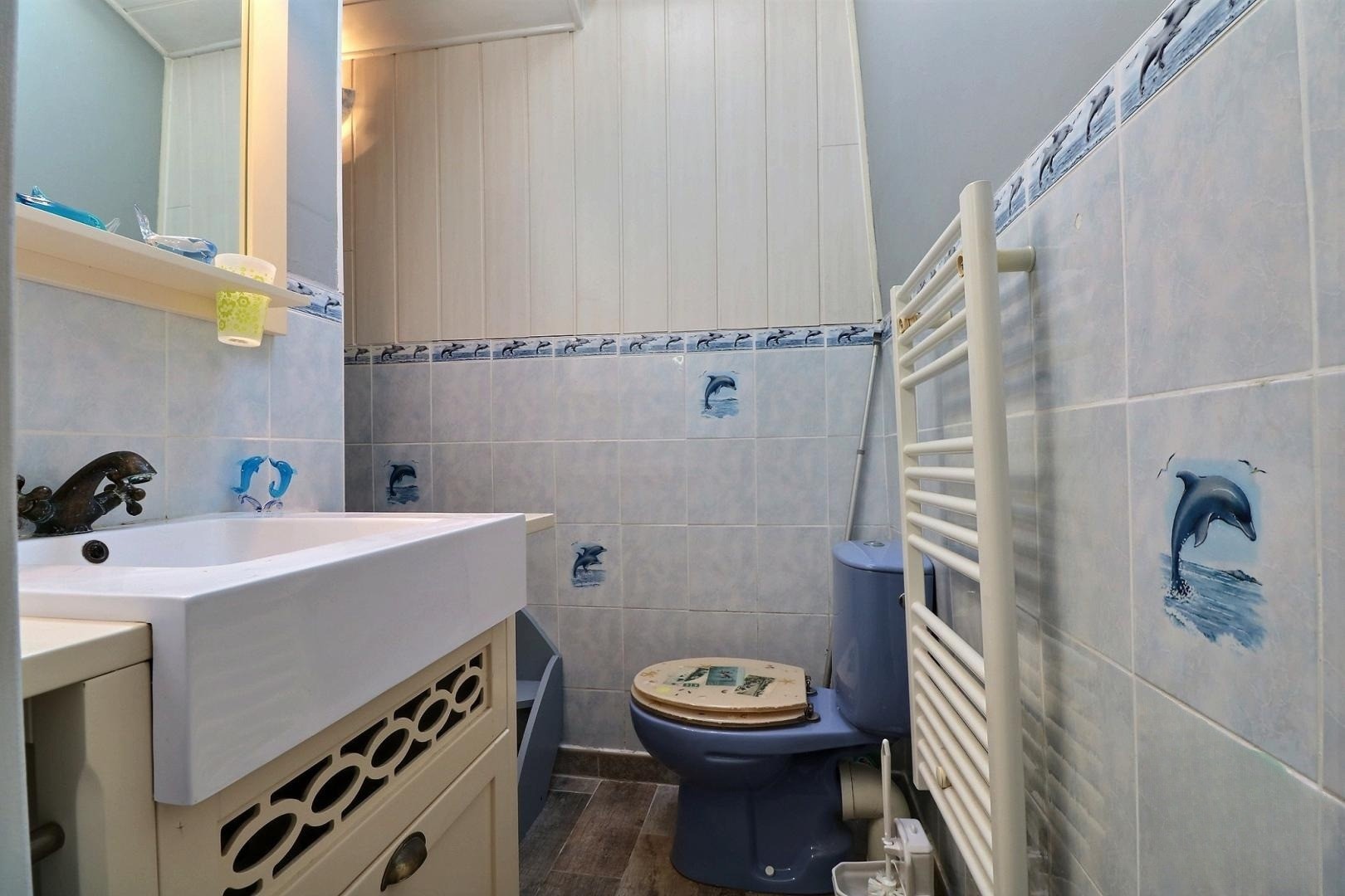 Salle d'au avec meuble vasque, WC et douche (quelques marches)