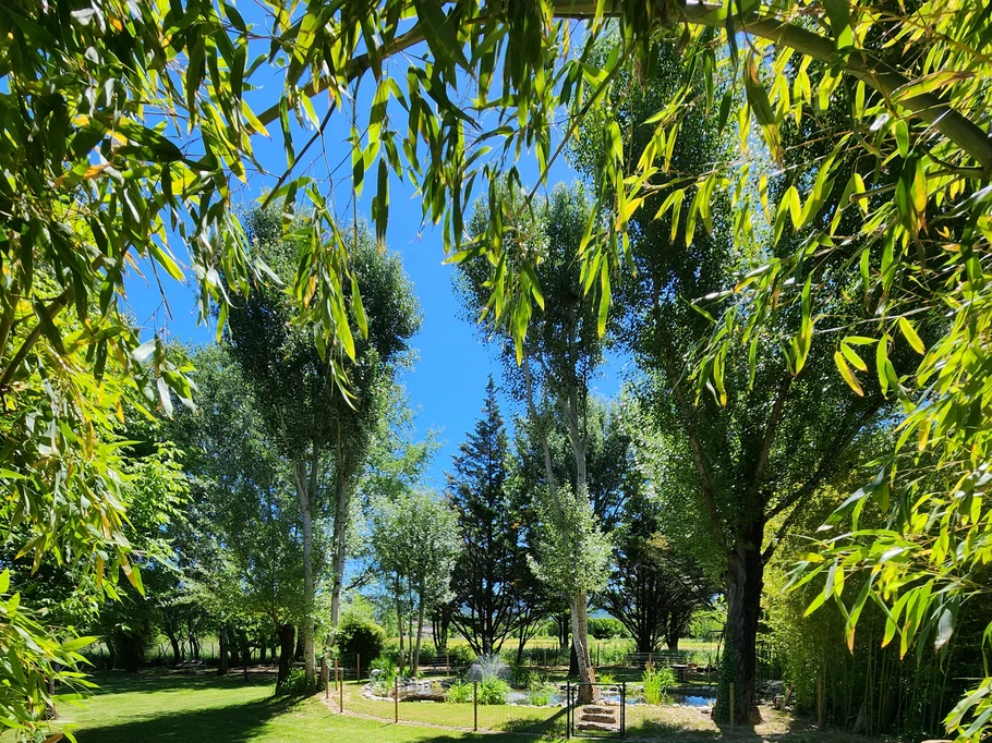 Photo n° 6 de la location