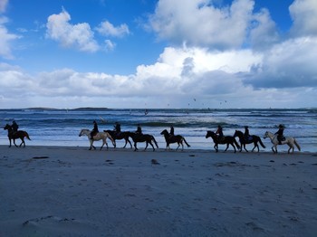 randonnée à cheval  sur la plage des 3 moutons