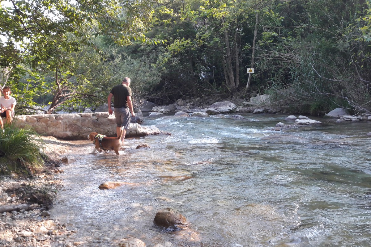 Baignade a la RIVIERE A 300M A PIED DE NOS GITES. GORGES DU LOUP