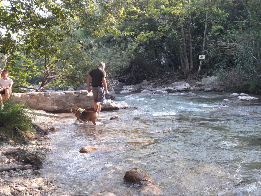 Baignade a la RIVIERE A 300M A PIED DE NOS GITES. GORGES DU LOUP