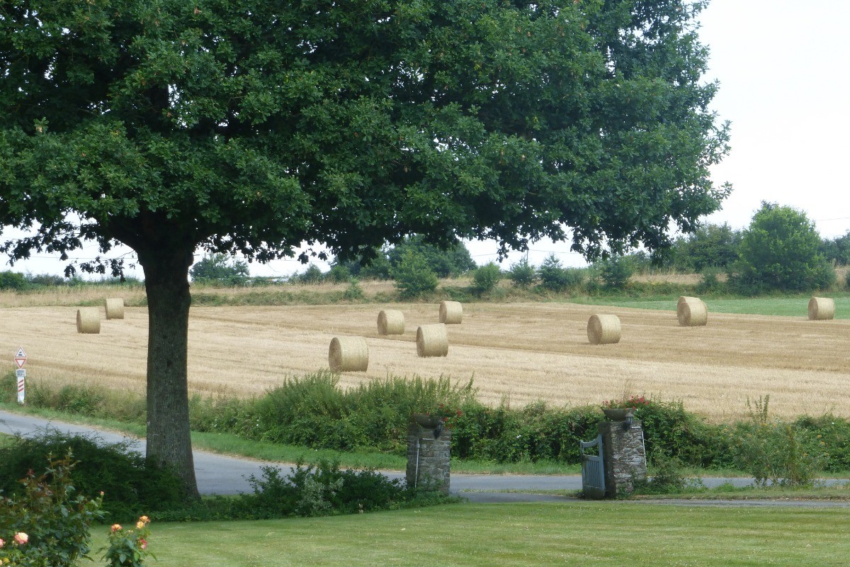 La campagne environnante à l'entrée de la propriété