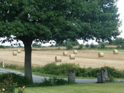 La campagne environnante à l'entrée de la propriété