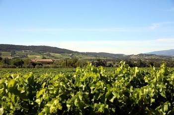 Environnement du gîte