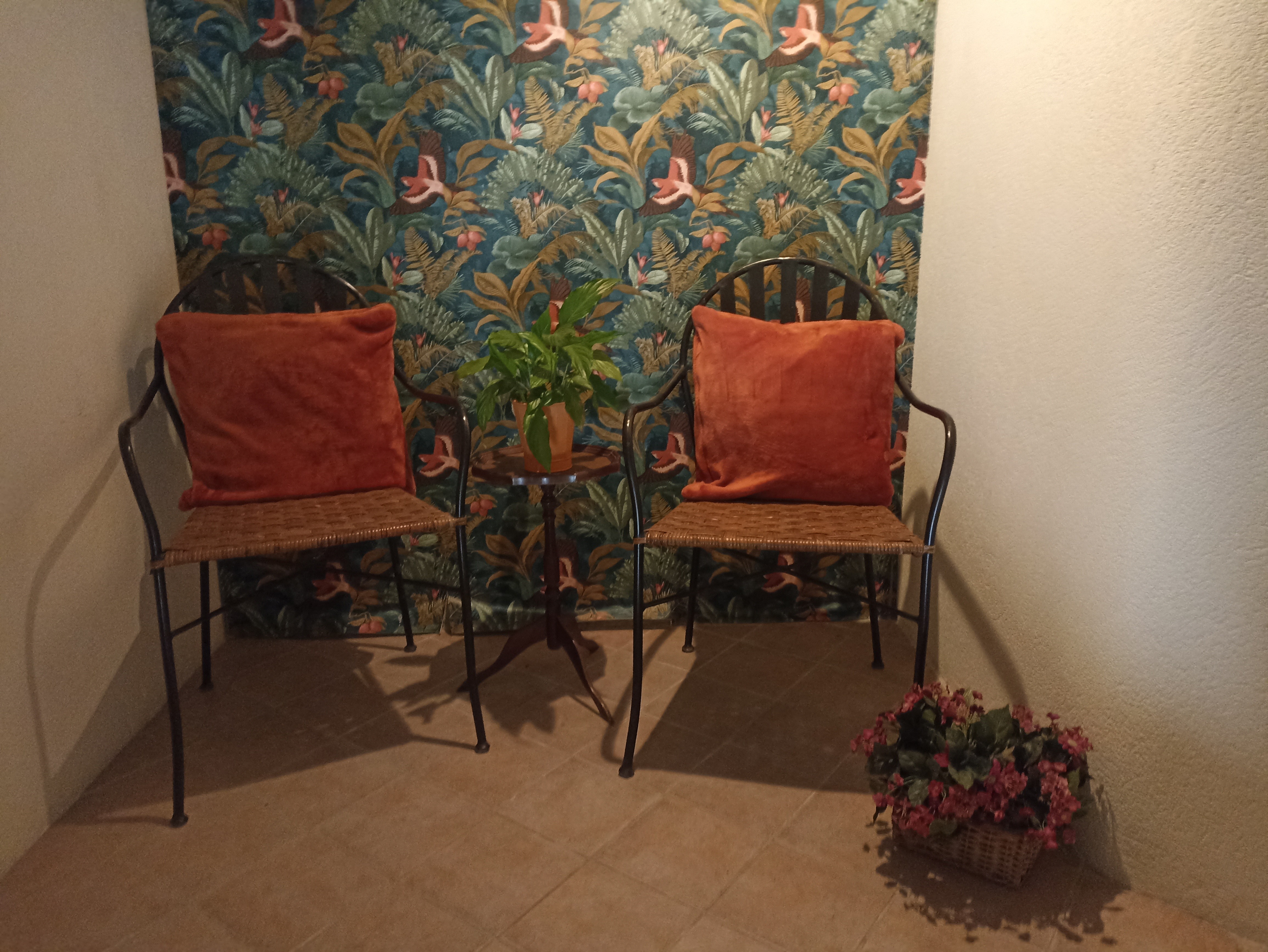 Photo n° 6 de la location