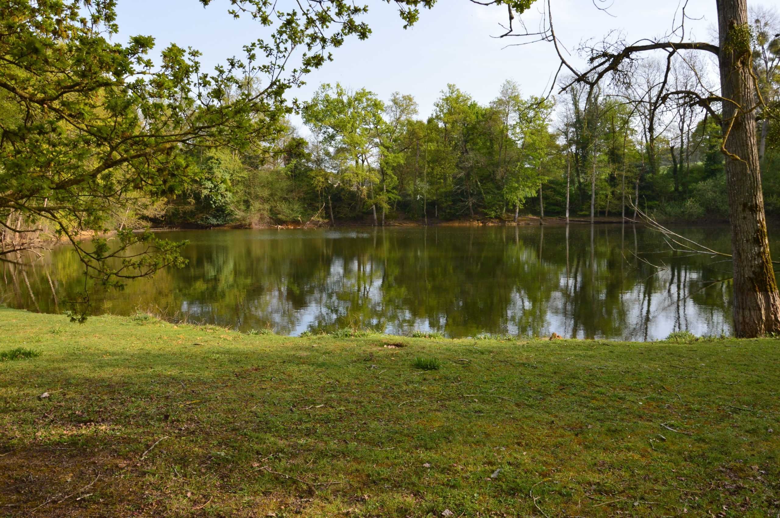 Photo n° 10 of the location