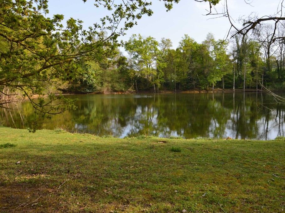 Photo n° 10 of the location