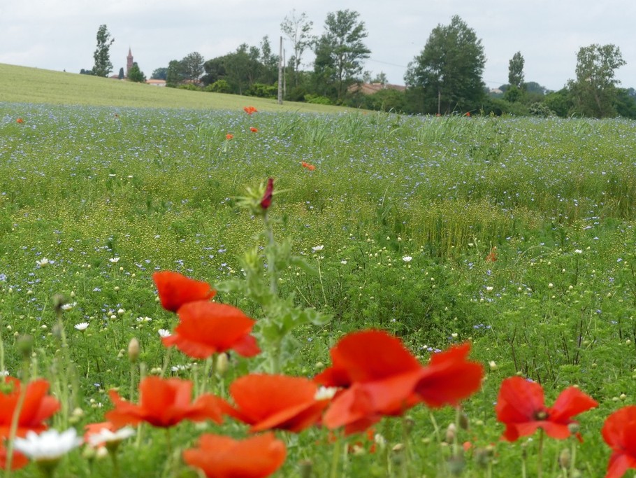 Montée vers la Tabernole
