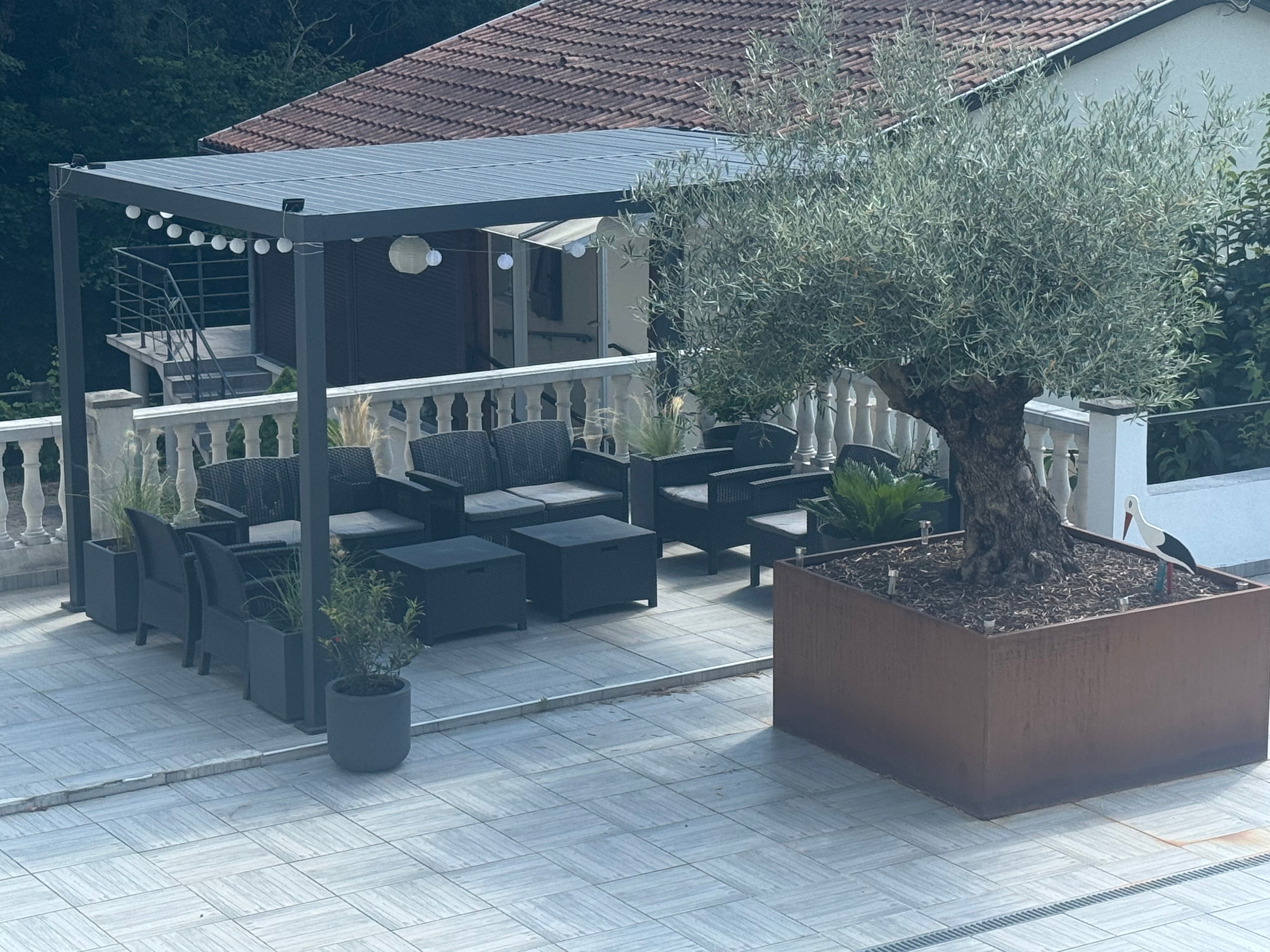 Image n° 2 de la location
