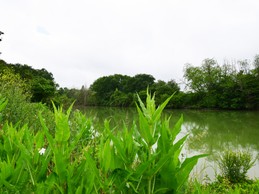 Lac privé