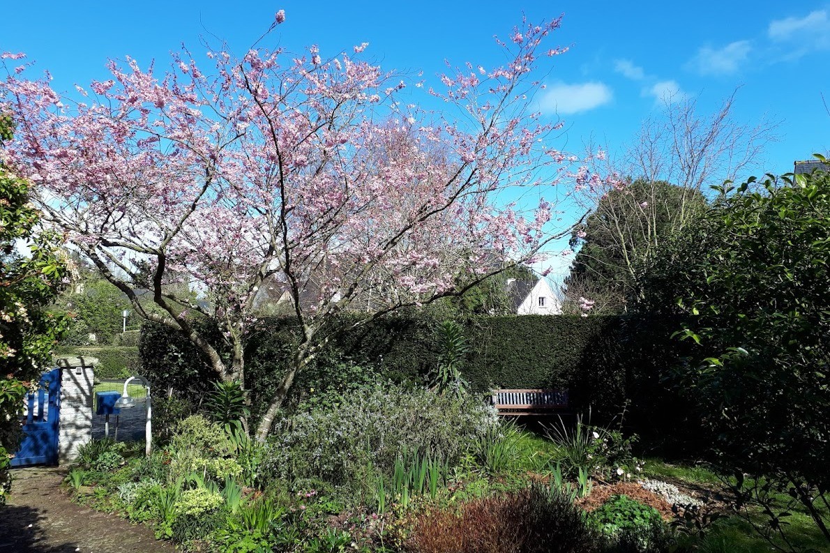 Le jardin au printemps