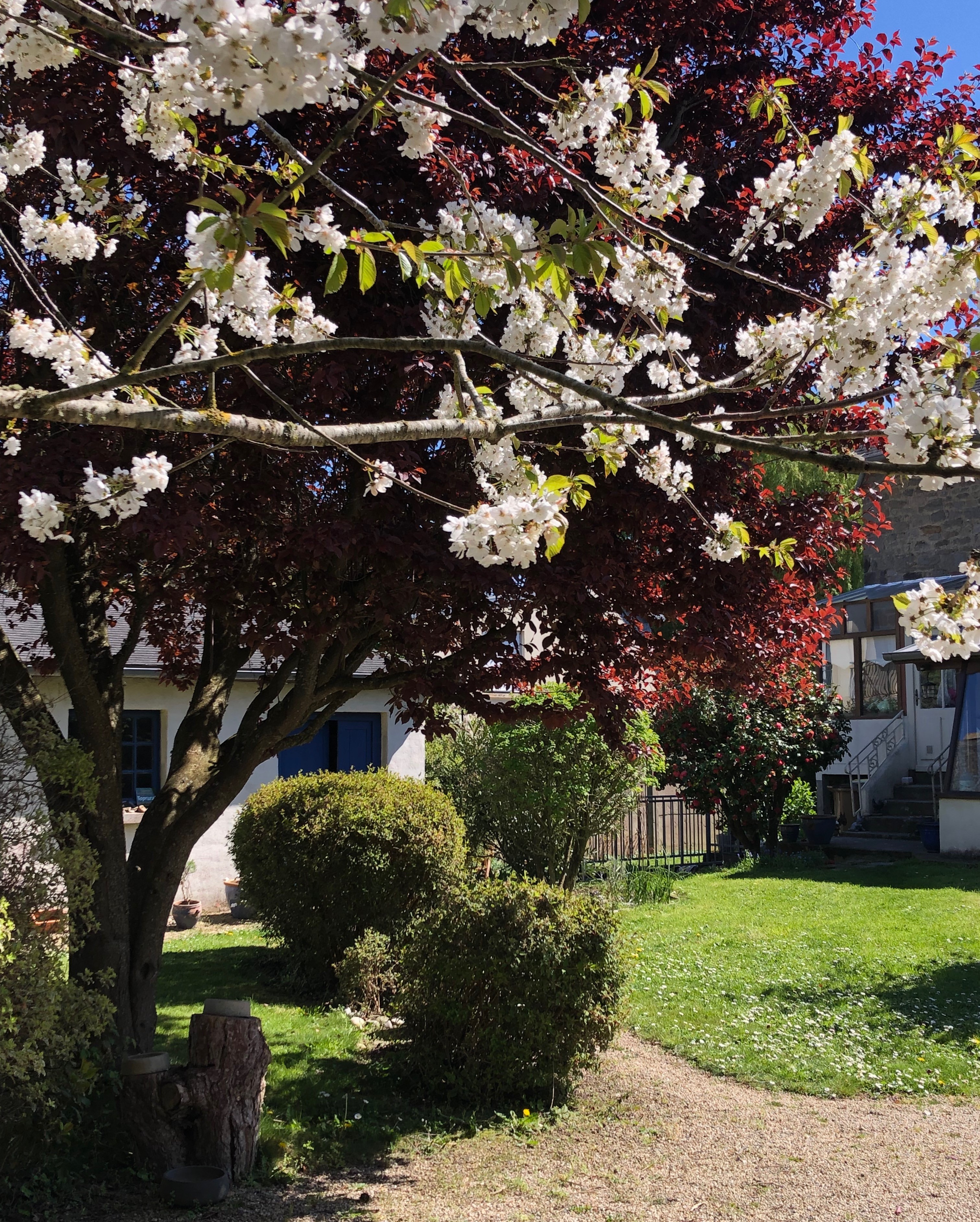 au jardin