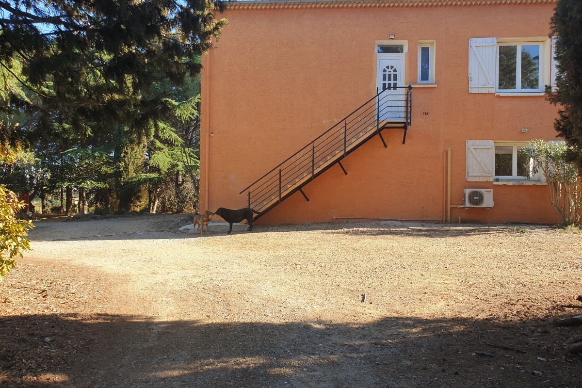 Photo n° 5 de la location