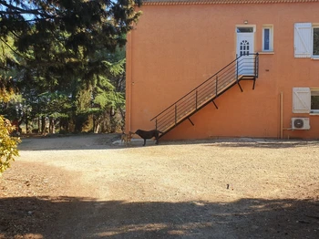 Photo n° 5 de la location