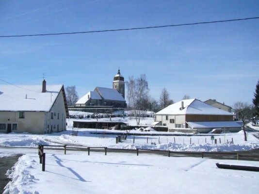 Loulle sous la neige