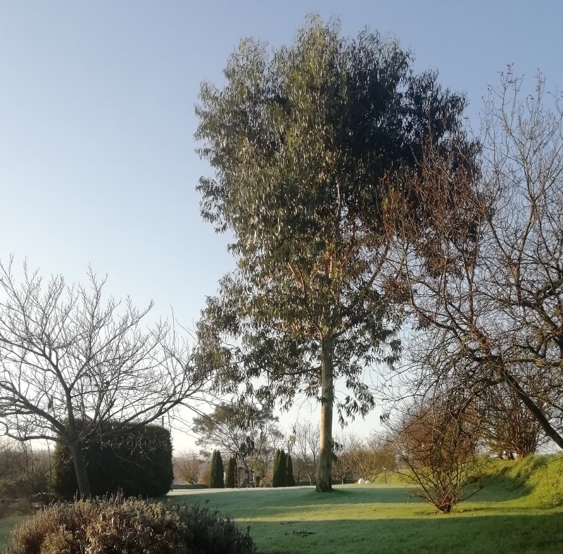 Photo n° 7 de la location