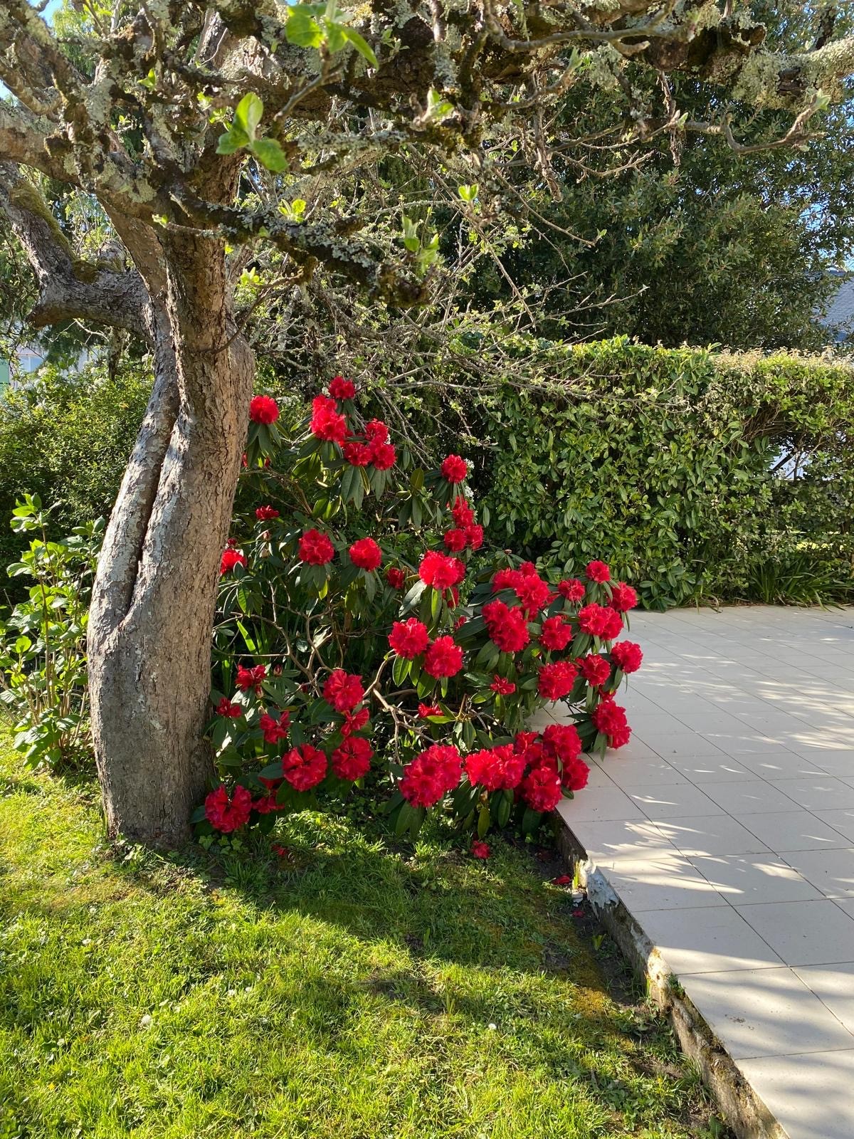 Photo n° 14 of the location