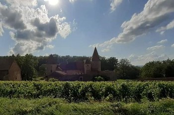 Explorer les vignobles