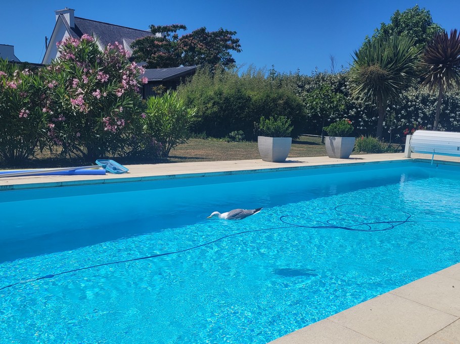 Heated swimming pool