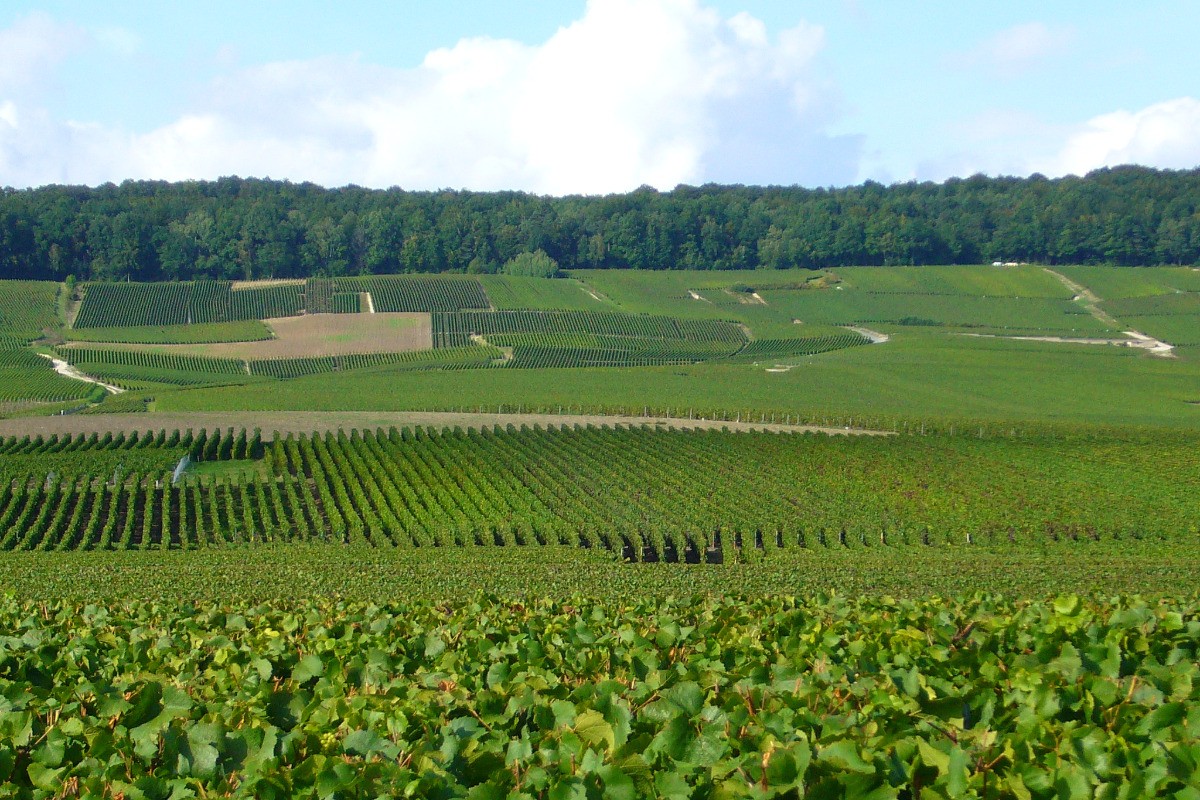 Photo n° 19 of the location