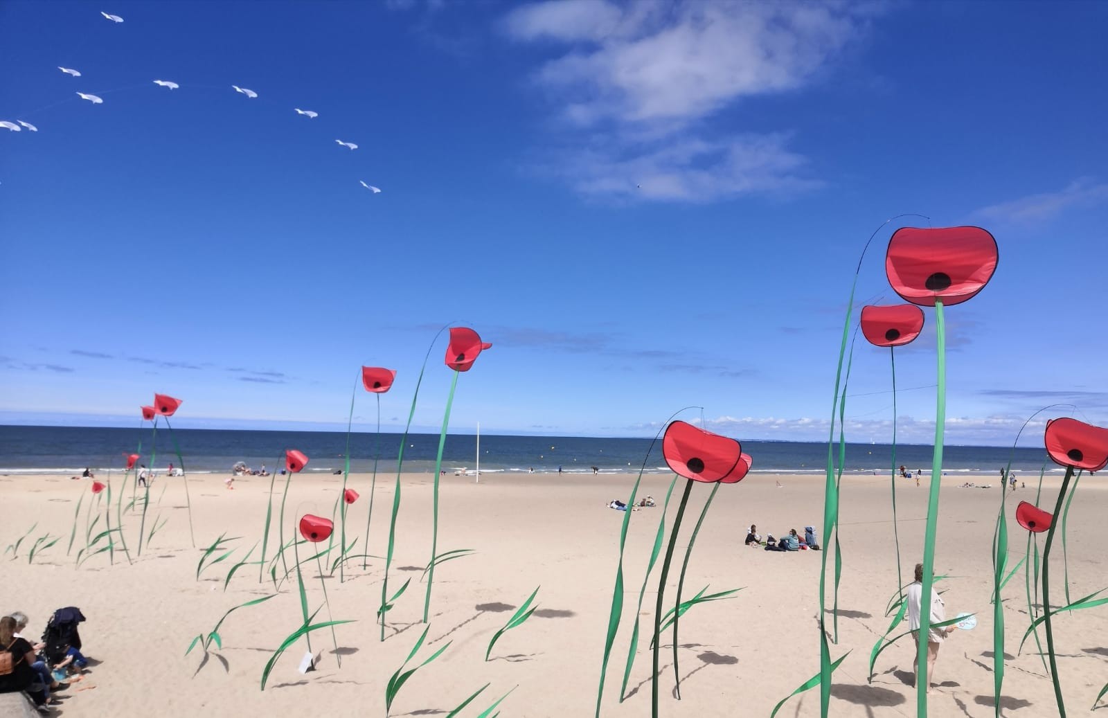 Merville-Franceville plage