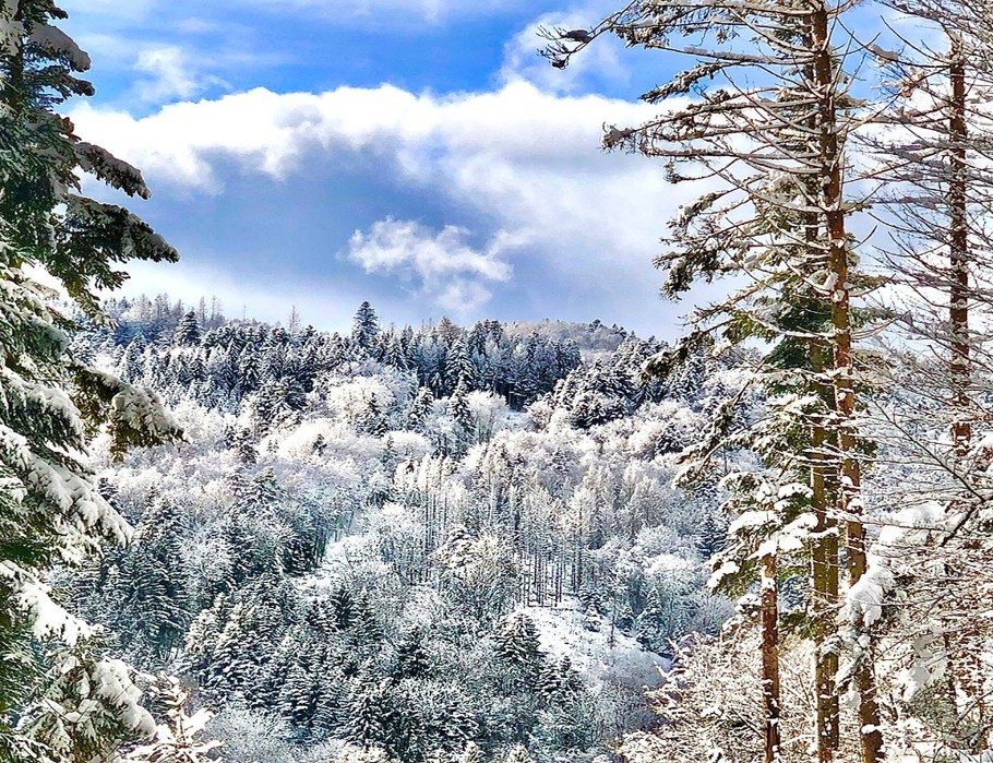L'hiver est bien arrivé