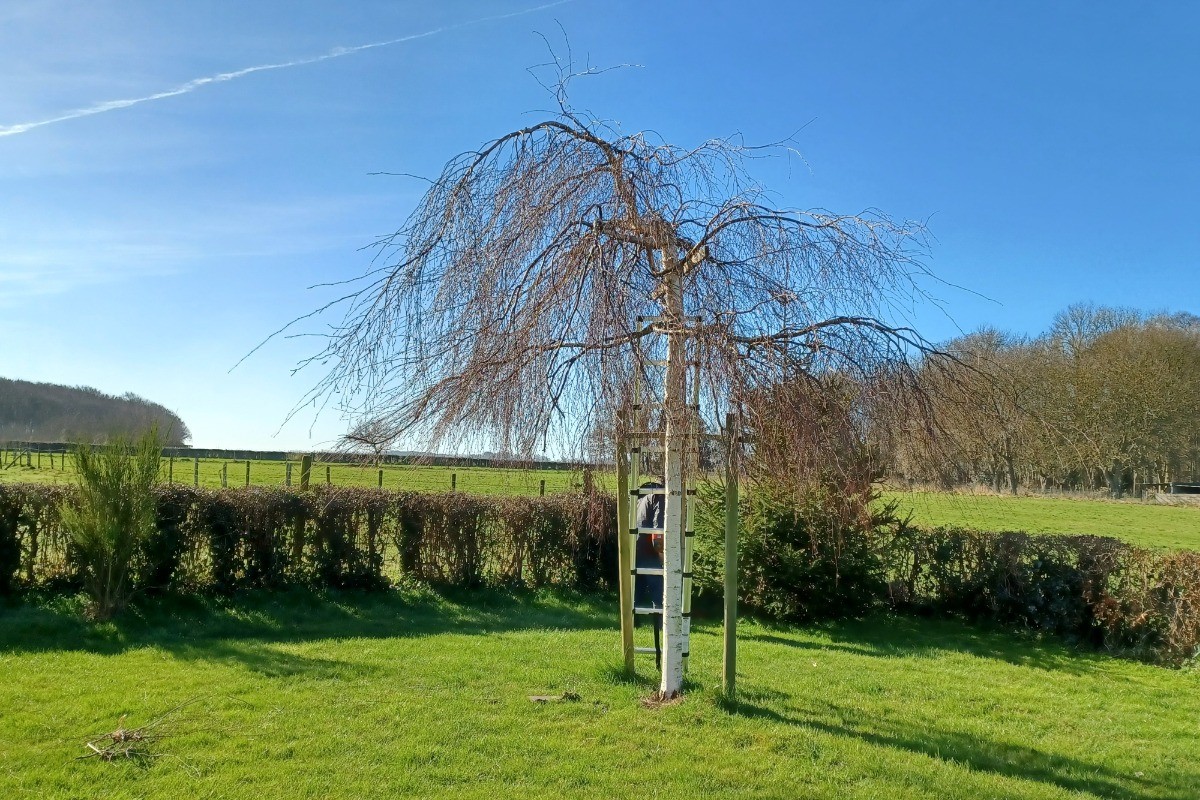 Photo n° 7 de la location
