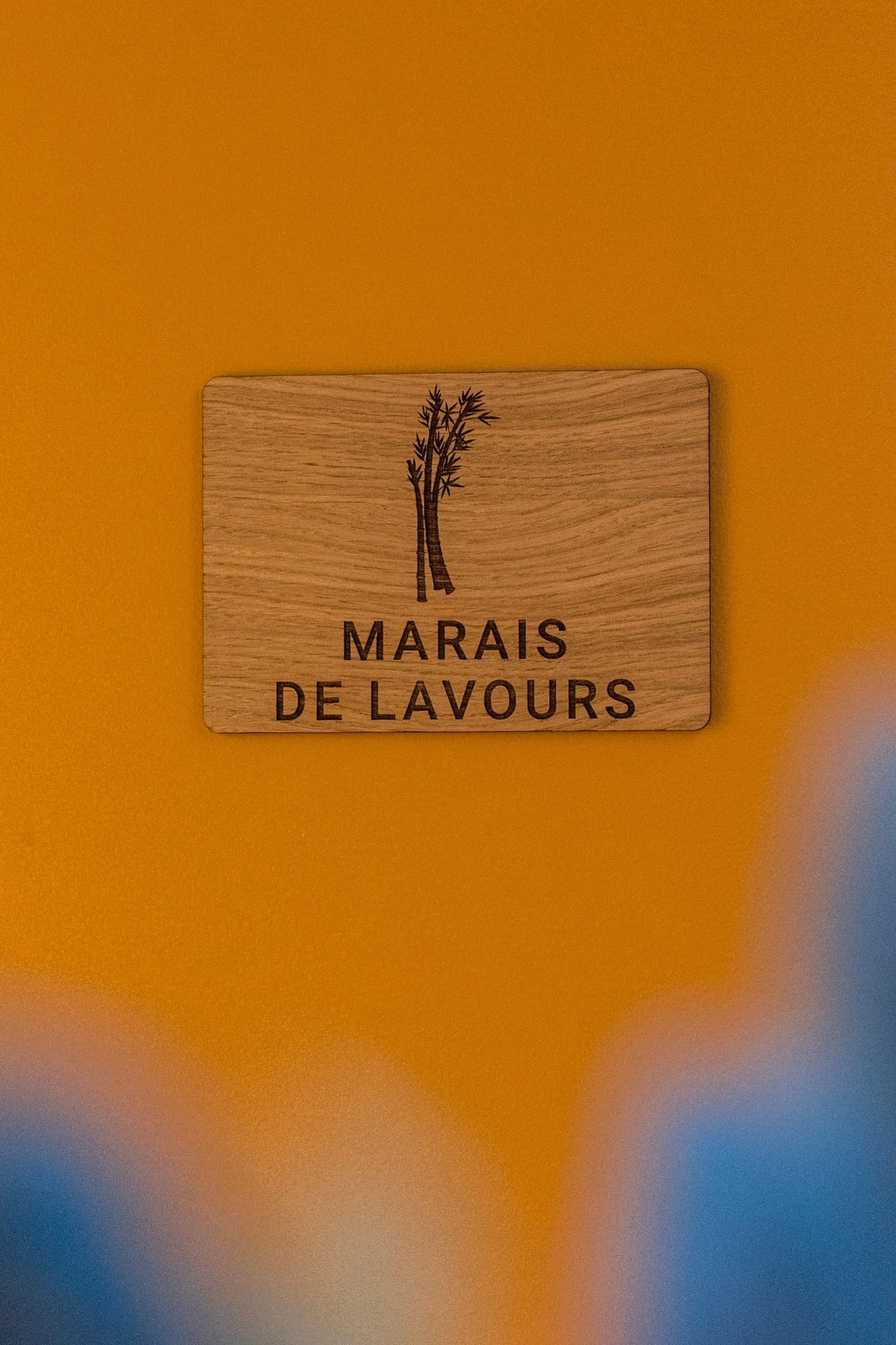 Photo n° 4 de la location