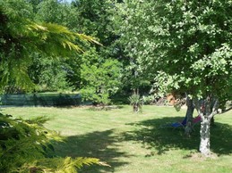 Jardin arboré