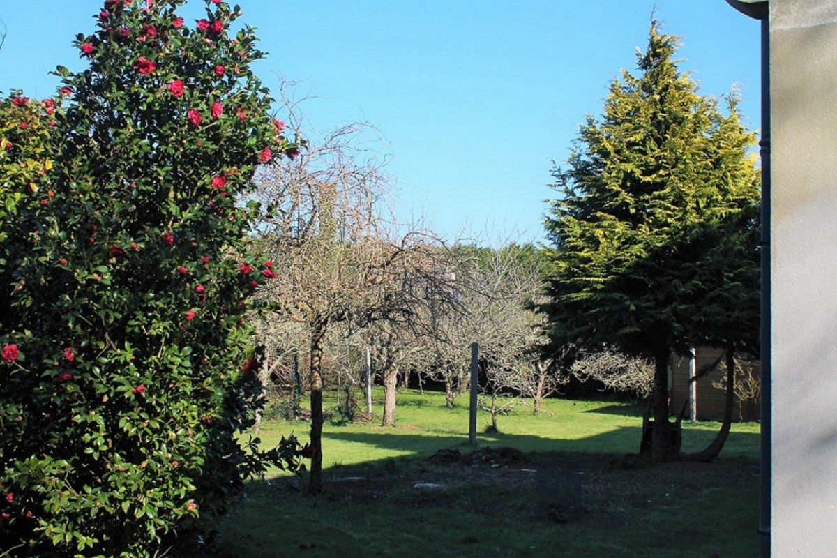 une partie du parc