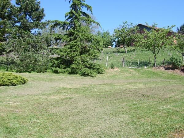 la pelouse au dessus de la piscine  - Cadalen - Tarn