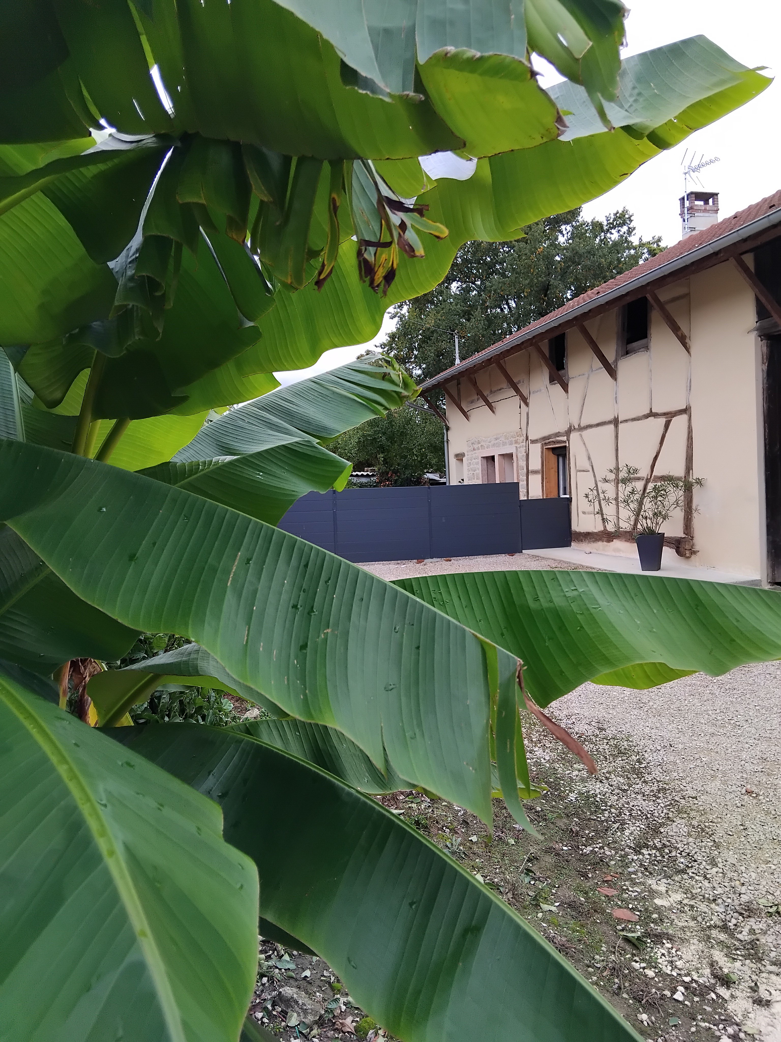 Photo n° 4 of the location