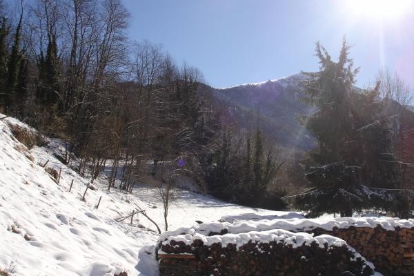 Photo n° 14 de la location