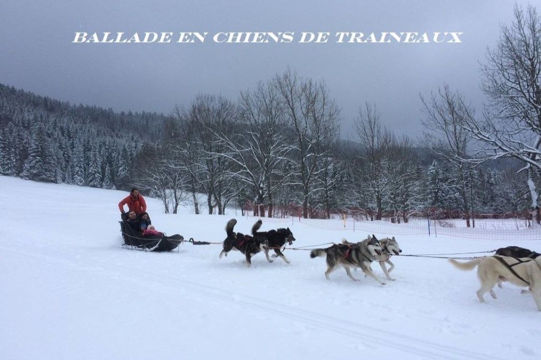 Photo n° 11 of the location