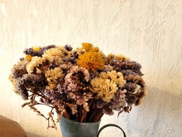 Image n° 5 de la location