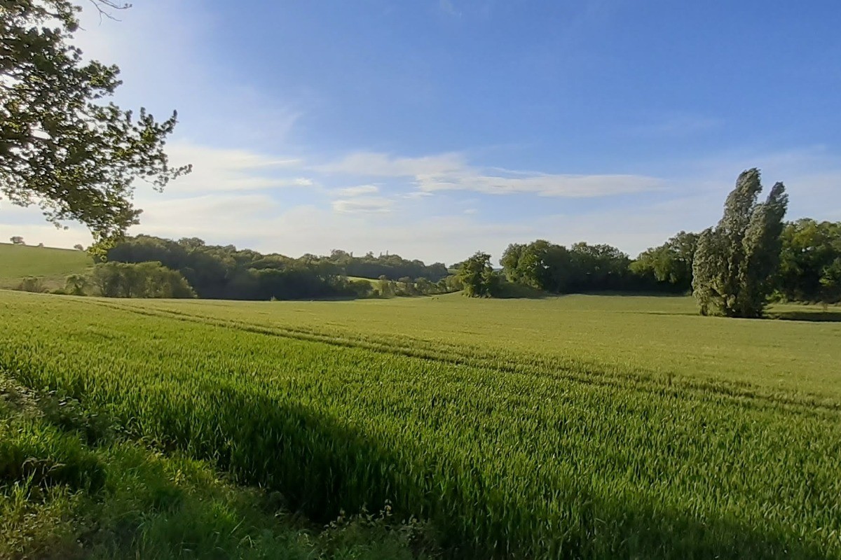 Le Gîte le Roqual vue sur la campagne environnante