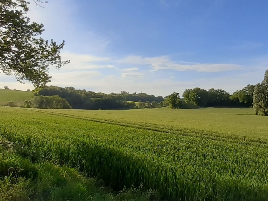 Le Gîte le Roqual vue sur la campagne environnante
