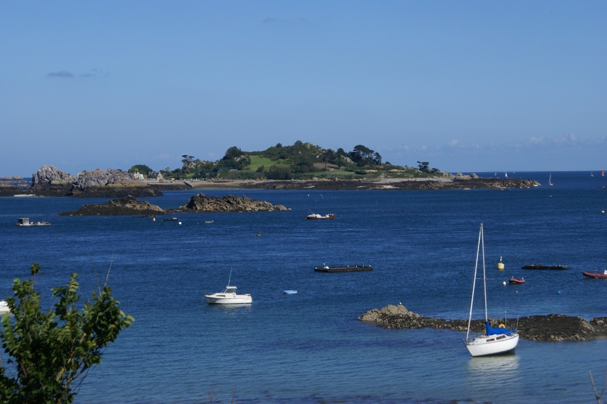 La côte près de Paimpol