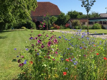 Parc avec le grange pour vos voitures et la piscine secure entouré par un mur