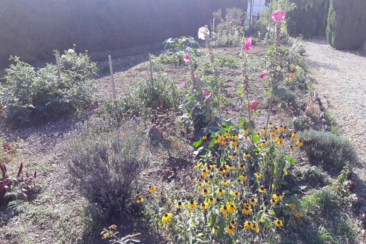 Le jardin septembre 2018