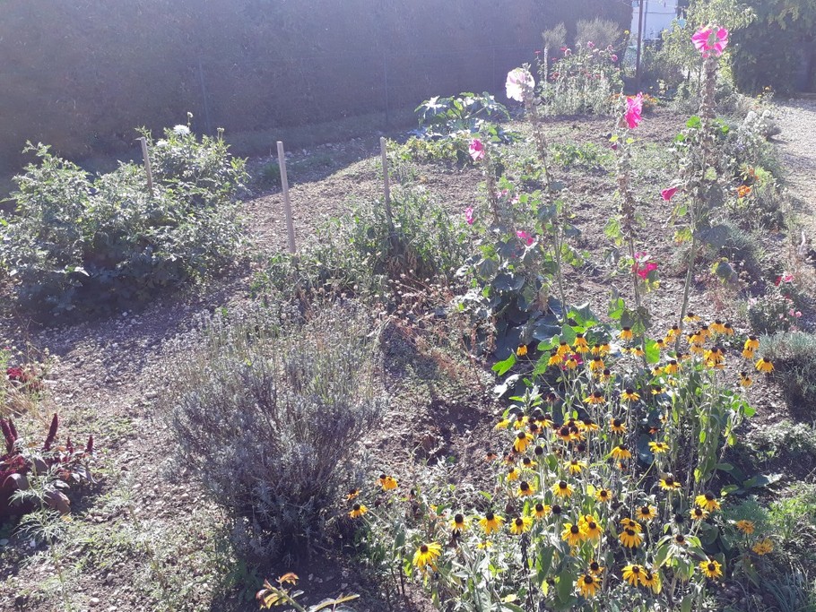 Le jardin septembre 2018