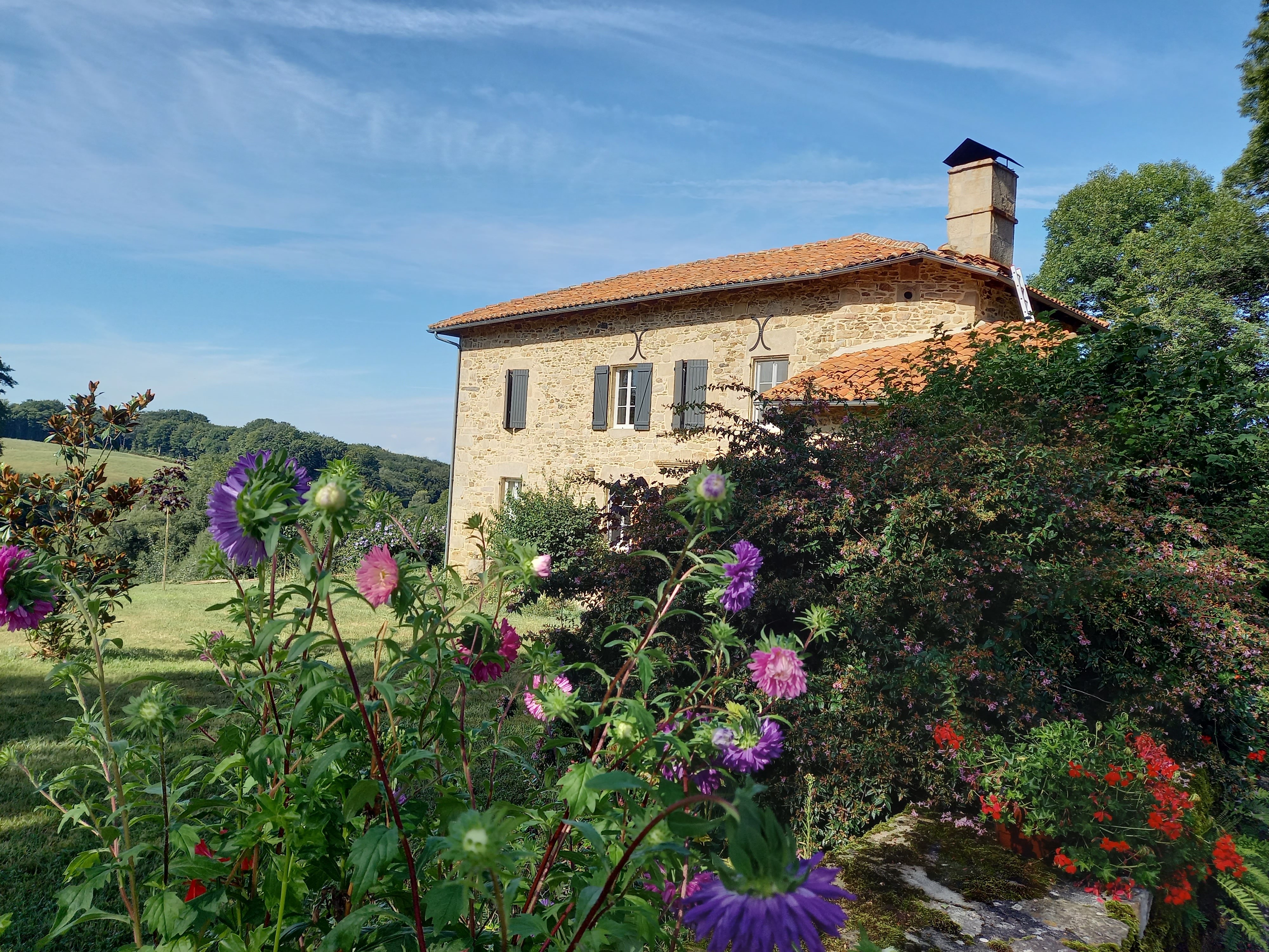 Jardin