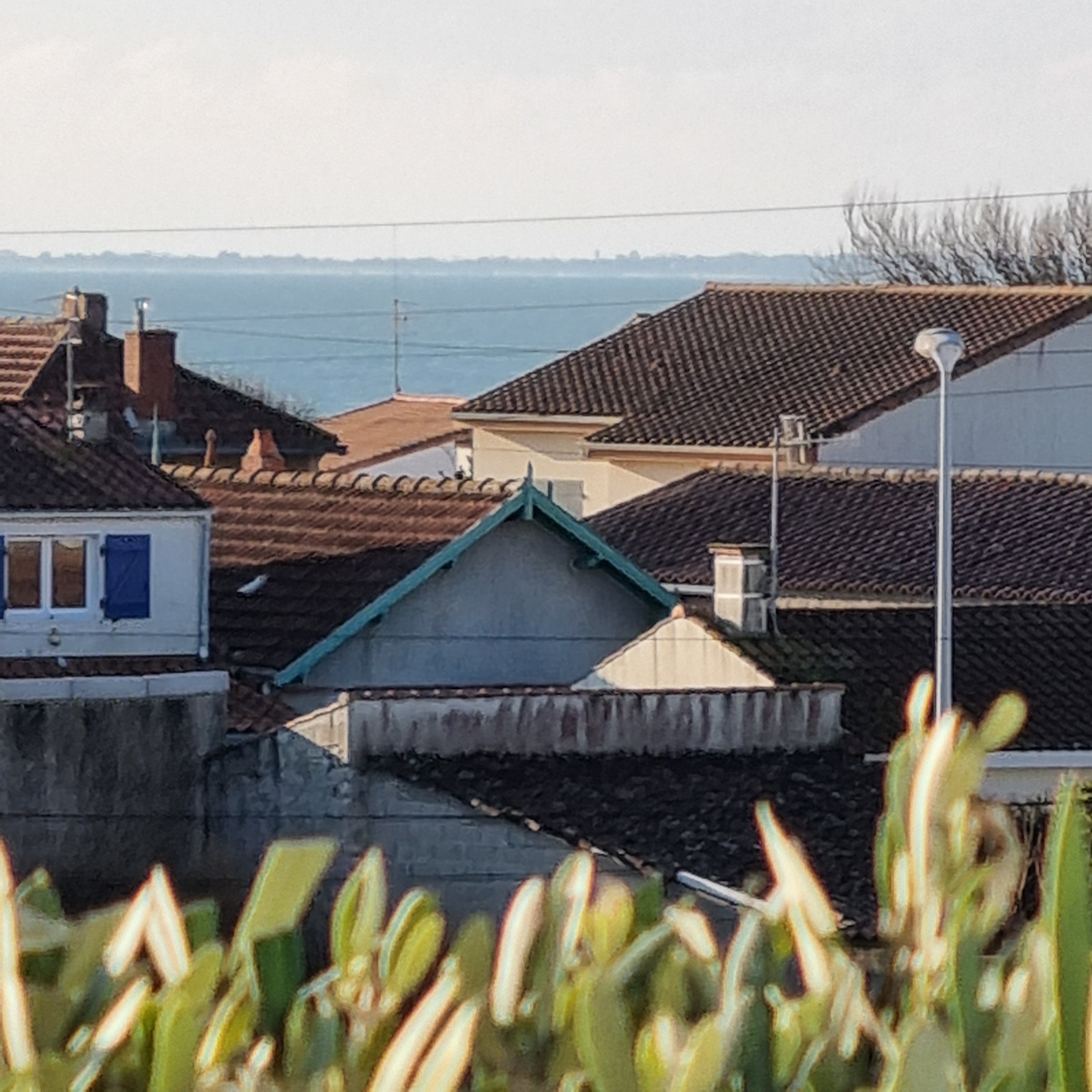 l'Ile de Ré vue de la terrasse