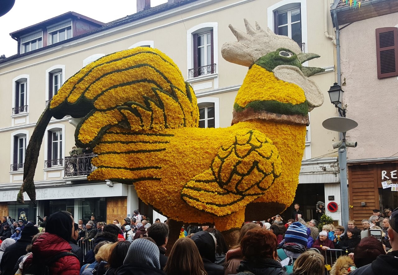 The daffodil festival...
